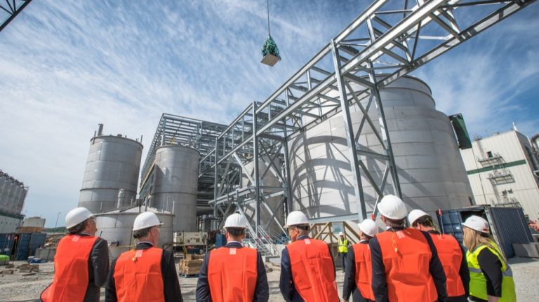 Veramaris targets 15% of global salmon EPA/DHA demand