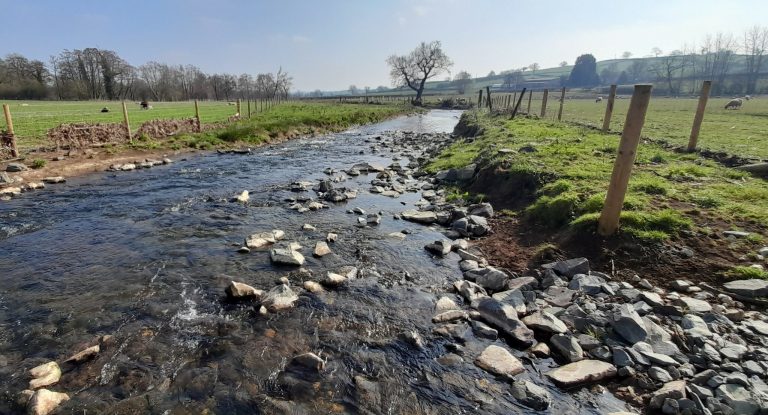 Salmon to return to English river after century-long absence