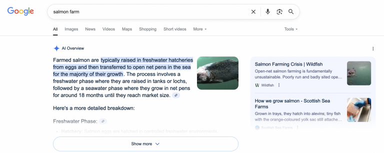 ‘Salmon farm’ search now triggers image of diseased fish, thanks to Google AI