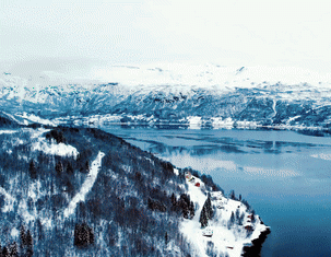 VÅRLAKS ad – 01