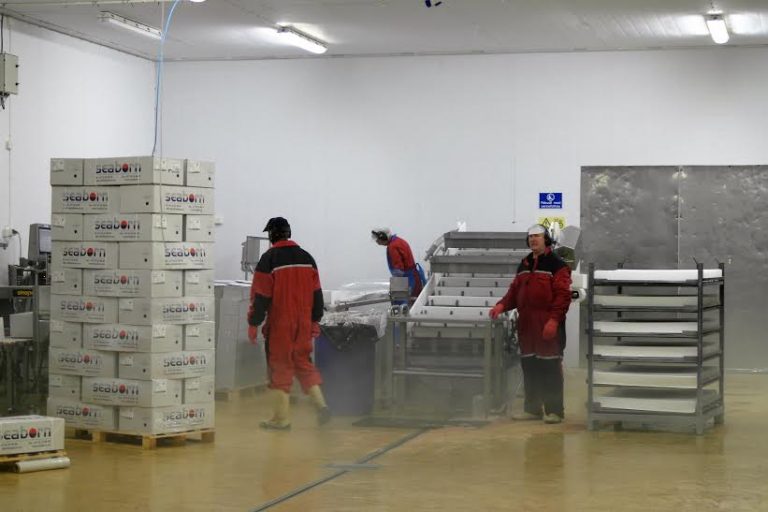 Freezing lifts salmon prices as Europe stocks up