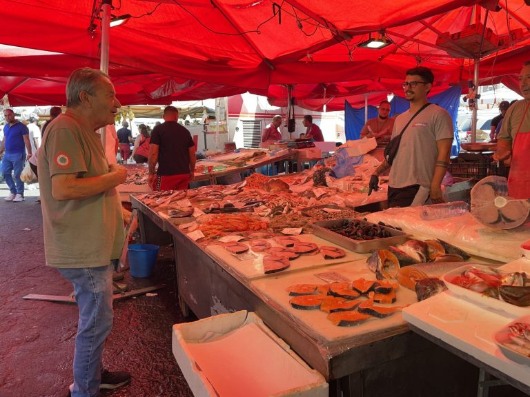 Salmon price rebounds after five weeks of decline