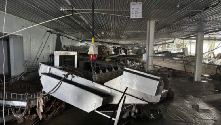 Tsunami carnage: Russian seafood hub loses entire inventory