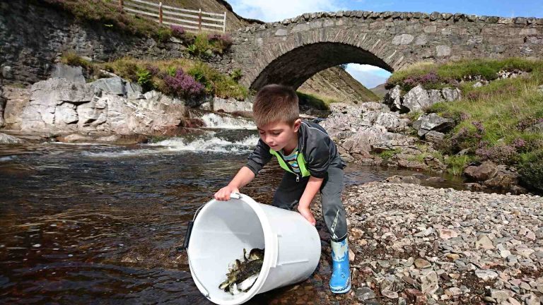 Salmon farmers fund £230,000 in wild fish projects across Scotland