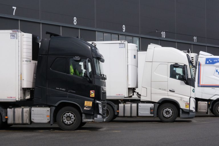 Transport bottlenecks keep salmon market tight