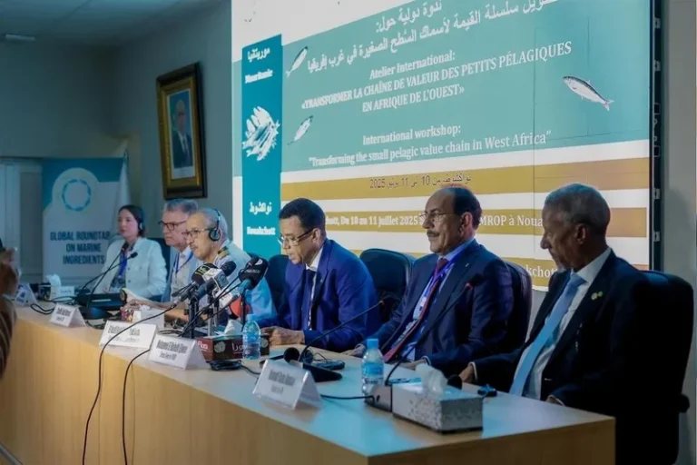 Scientists urge balance between fishmeal production and food security in West Africa