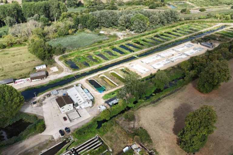 Coldwater Salmon: English land-based project will halve energy use, eliminate fish meal feed