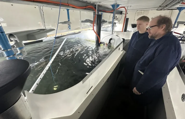 Feed shift blamed for lower vitamin D, farms test light to restore levels