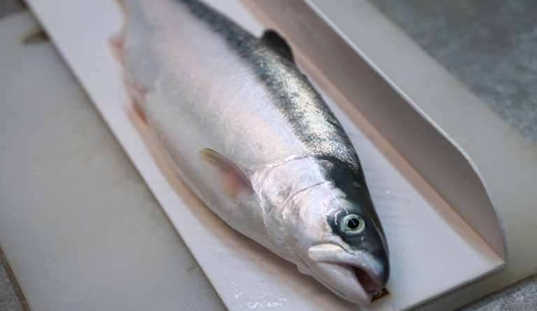 A Frankenstein fish? Meet Norway’s new hybrid salmon