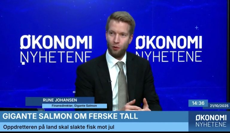 Management reshuffle at Gigante Salmon as CFO lands new role