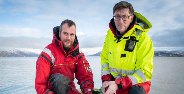 Land-based salmon farms seen as platform for red algae production