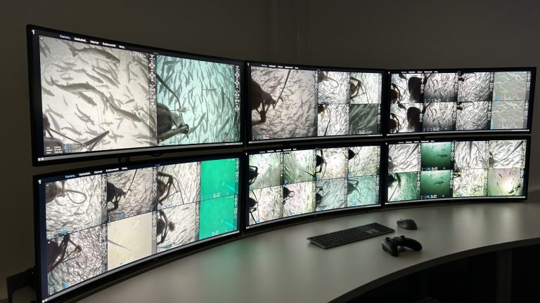 Bluefront Equity creates integrated feeding software platform through merger