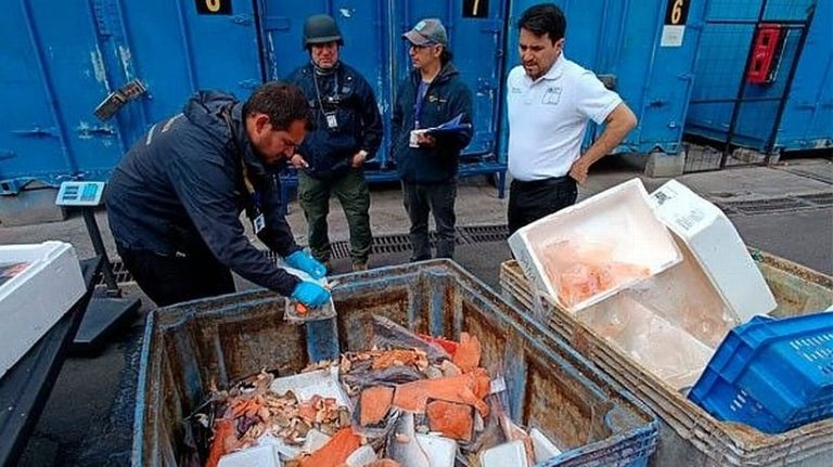 Guns, vehicles and 60 tonnes of salmon seized in raids that see 22 arrested