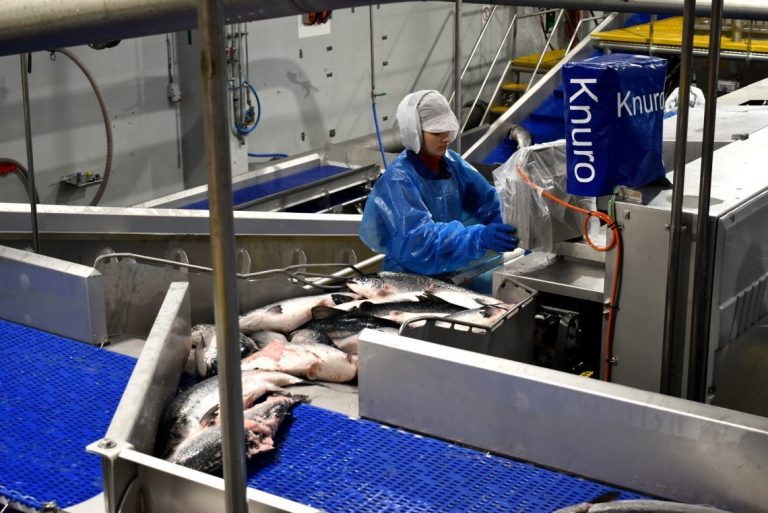 Price correction after three consecutive weeks of increases