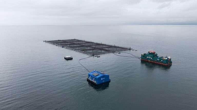 S2G invests $25 million to scale oxygenation in aquaculture