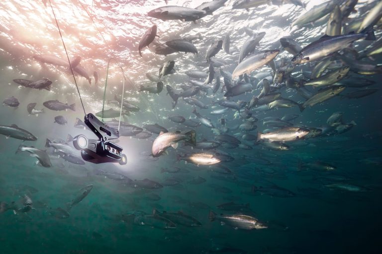 UK private equity firm dives into salmon tech with Aquabyte acquisition