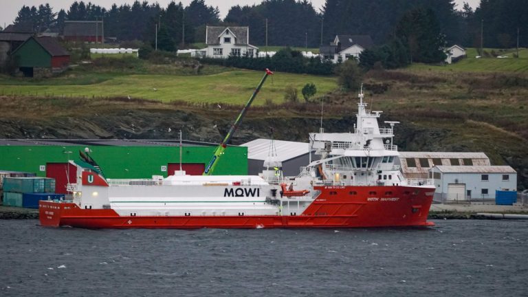 Isfjord: halts use of Mowi raw materials following Russia feed reports