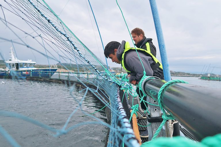 MIT students trial AI feeding tools at Norwegian salmon farms