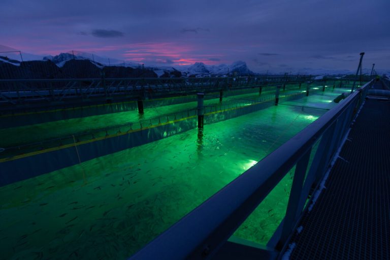 Gigante Salmon picks Moleaer nanobubbles for oxygenation