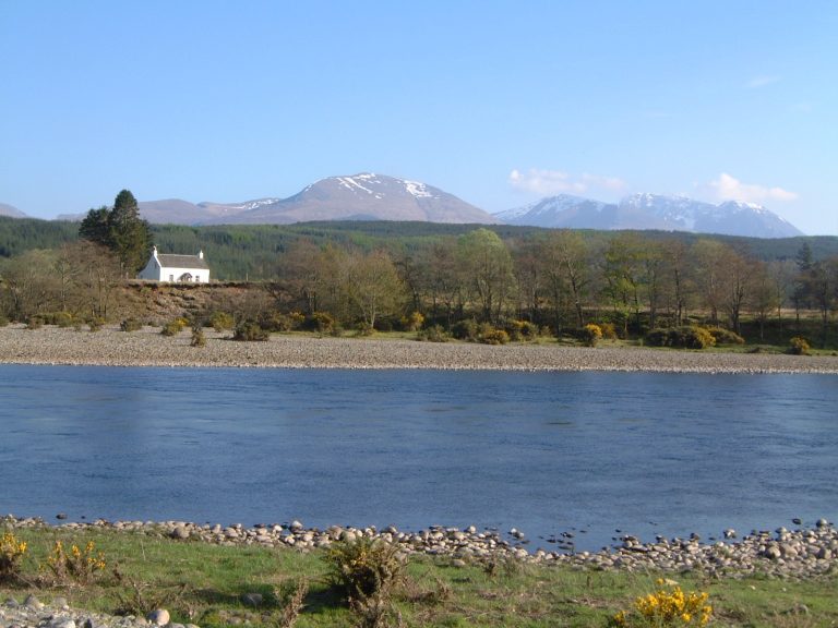 Producer to fund three-year genetic study to monitor impact of major escape