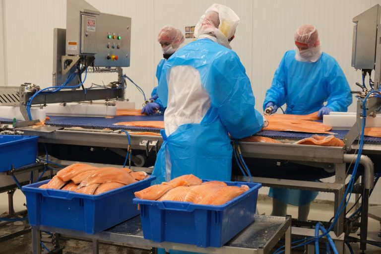 Big fish and tight demand: Why salmon is suddenly trading in the 90s