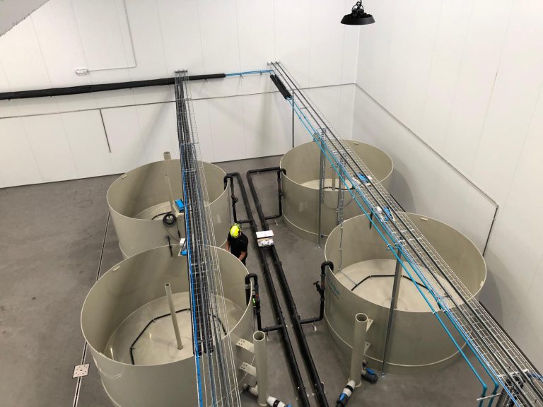 Mutag acquires Alpha Aqua IP to expand water treatment portfolio