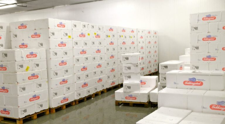 ‘It stopped overnight’: Traders warn as salmon market falls off a cliff