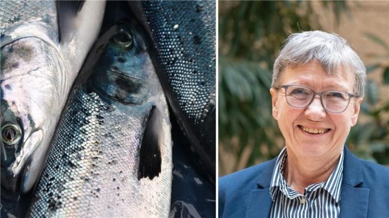 Disease restriction zone removed after successful control effort