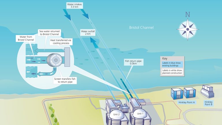 Nuclear plant’s new £700m ‘fish disco’ to save less than one wild salmon per year