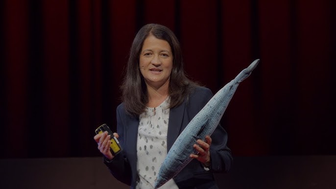 Watch: Mowi sustainability and technology chief sets out aquaculture case in TEDx talk