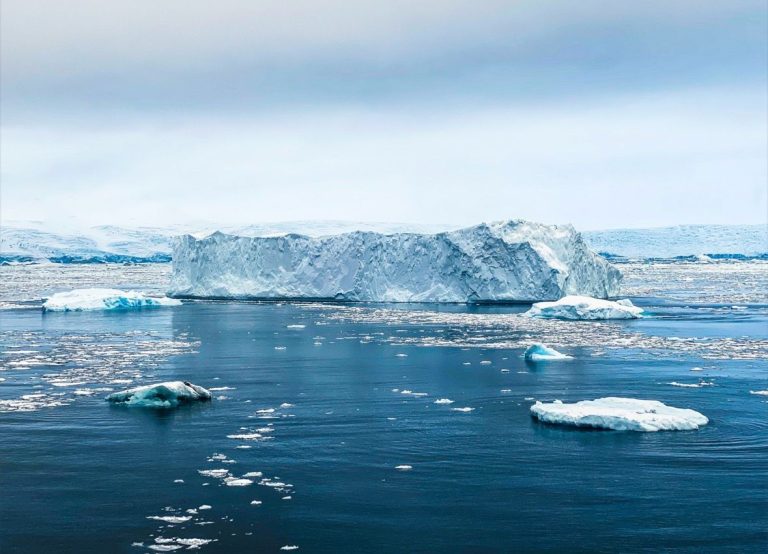 Antarctic krill fisheries thrust into spotlight by new ocean initiative