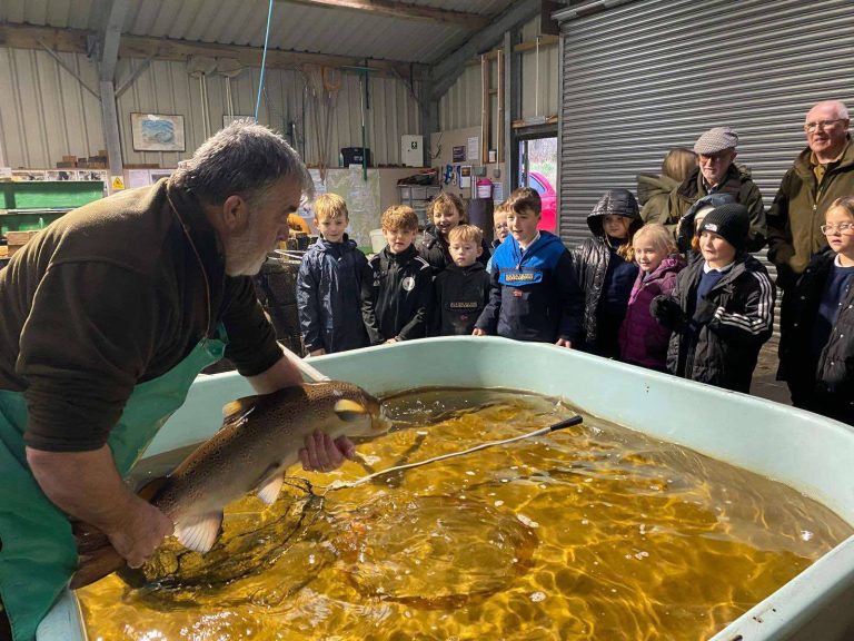 Community-led salmon project in Galloway wins international award