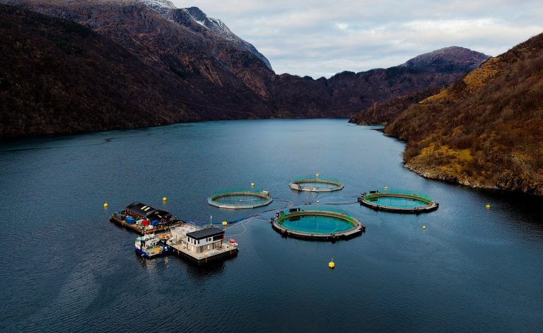 Mowi to nearly double capacity in closed sea cages