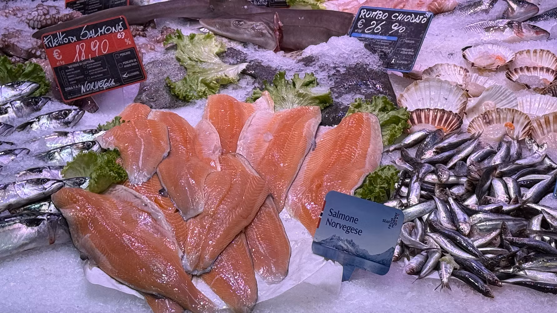 Strong salmon volumes drive record year for Norwegian seafood exports
