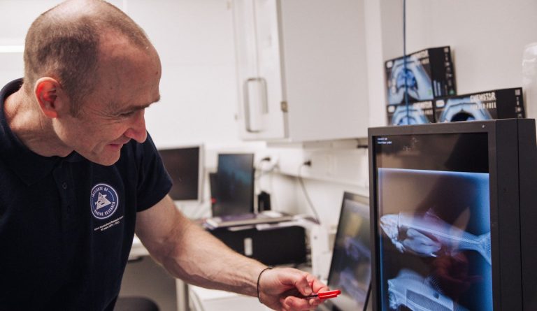 Shocking study finds widespread deformities in farmed trout