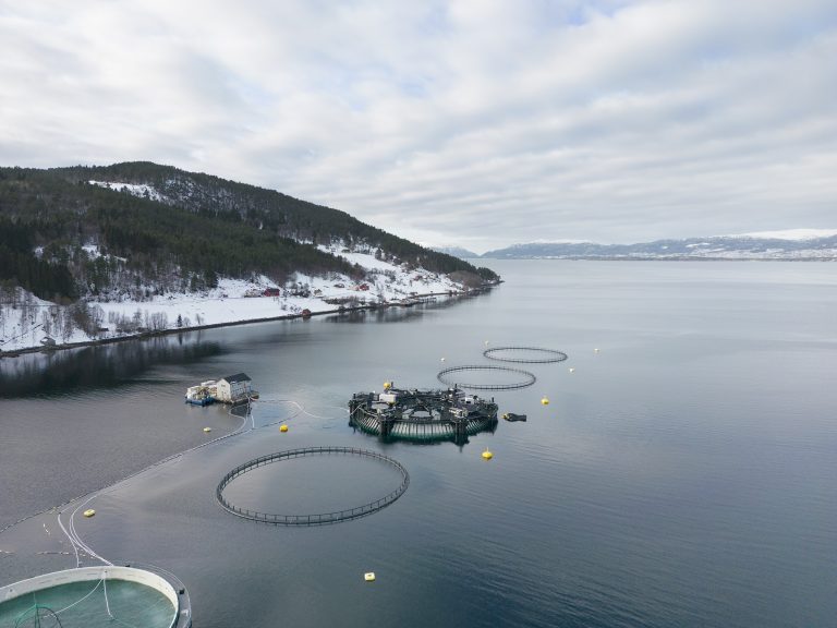 Marine Donut enters commercial phase following full-scale testing