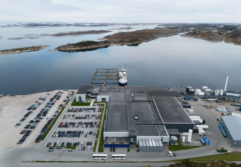 Salmon prices jump as China returns to the market