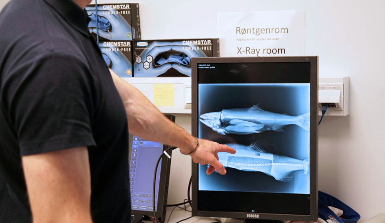 ‘Never seen such badly deformed fish before’