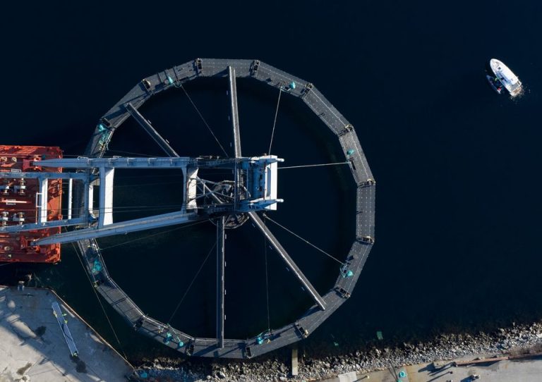 Hofseth deploys the ‘sea lily’ in push to cut sea lice