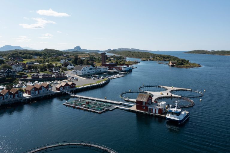 Mowi strengthens northern Norway footprint with Torghatten Aqua purchase