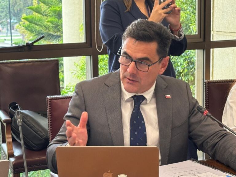 Chile: fisheries chief outlines aquaculture and Lafkenche law reforms