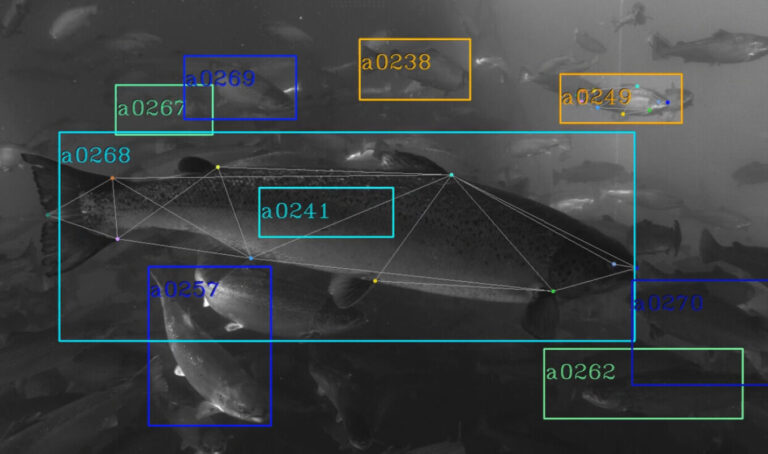 SalMar: collaboration with Google spin-out Tidal on AI farming automation