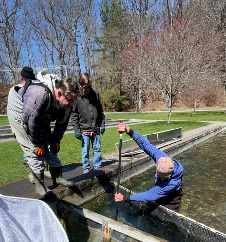 New York: backs Atlantic salmon restoration with Irondequoit Creek release
