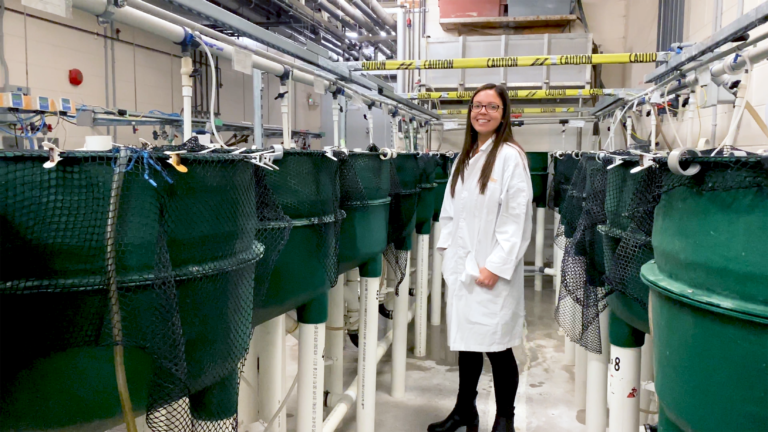 Activists: campaign against farmed salmon faces scientific pushback