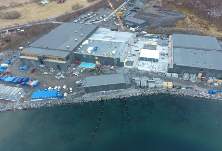 Helgeland Smolt: 50,000 fish die at Kilvik land-based facility