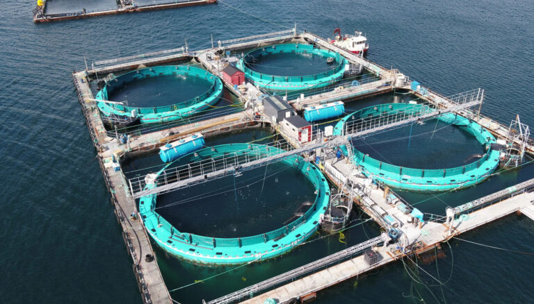 Hardingsmolt: orders two additional GreenBag units to expand post-smolt capacity