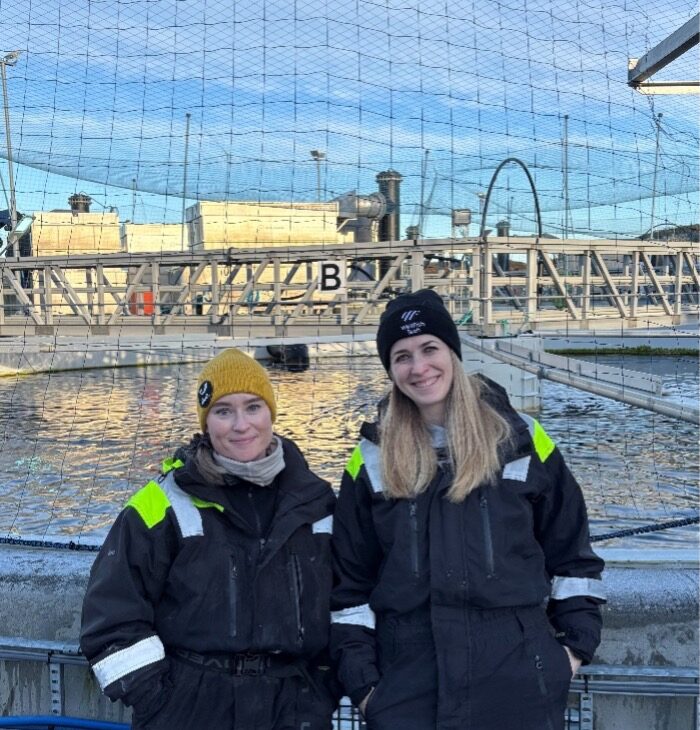 WellFish Tech: extends partnership with Bue Salmon ahead of major expansion
