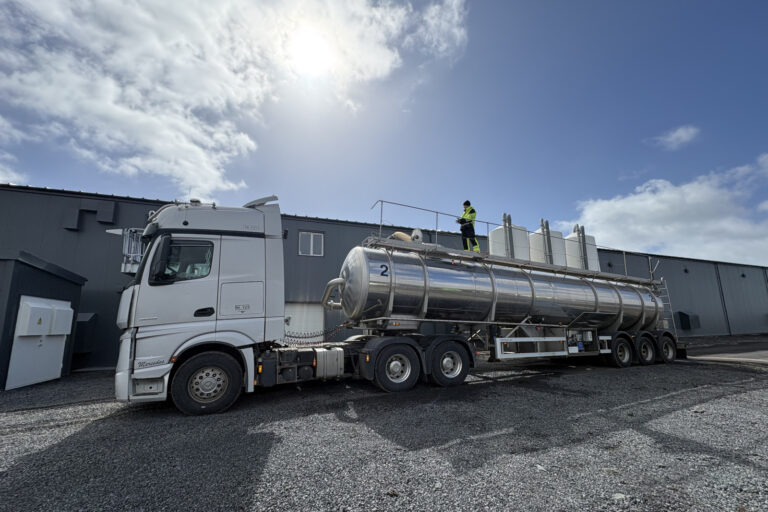 Thor Salmon: Smolt facility now fully operational in Iceland