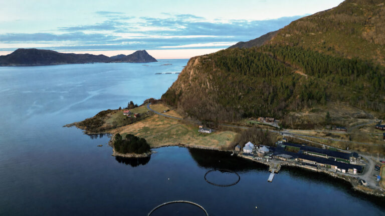 Mowi: Vanylven facility sold to cod producer Ode