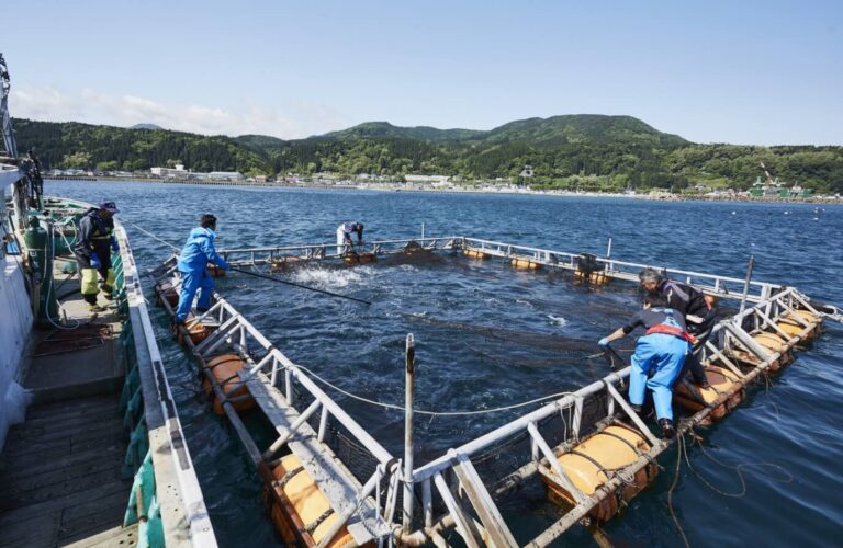 Okamura Foods: targets production growth with new Hokkaido venture